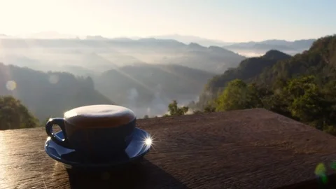 Coffee in the mountains Stock Footage 102593431