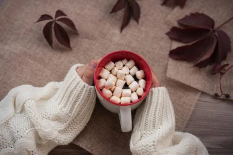 Coffee mug with marshmallow Stock Photos