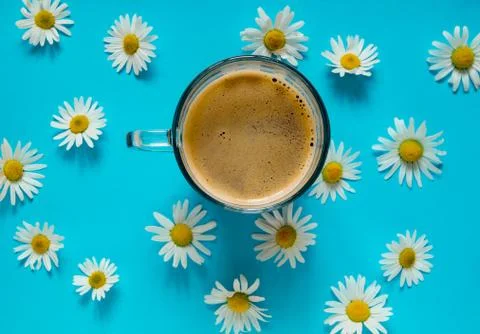 Coffee mug on the table with daisies Stock-Fotos