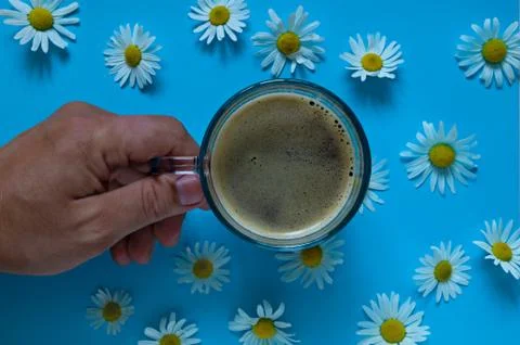 Coffee mug on the table with daisies Stock Photos