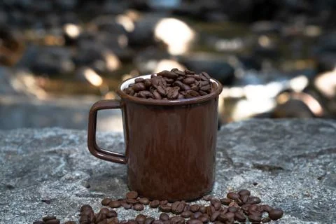 Coffee Mug in the Woods Stock-Fotos