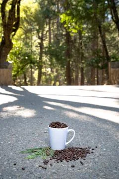 Coffee Mug in the Woods Stock-Fotos