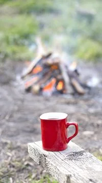 Coffee in nature Stock Photos