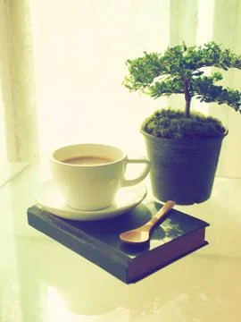 Coffee open book and small tree Stock Photos