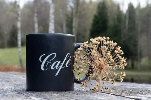 Coffee or tea cup on table and green bokeh background Stock Photos