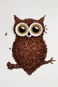 Coffee owl. Stock Photos