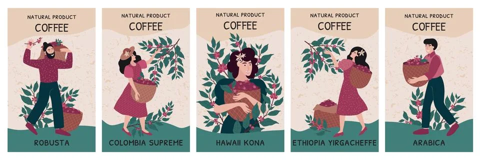 Coffee package. Bean label pattern or colombia and ethiopia beverage. Cafe Illustrazione stock
