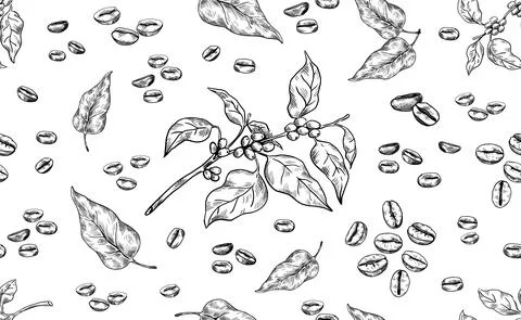 Coffee pattern. Hand drawn seamless texture of Arabica beans. Tree branch and イラスト素材