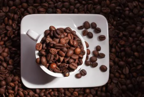Coffee Stock Photos