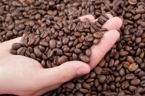 Coffee Stock Photos