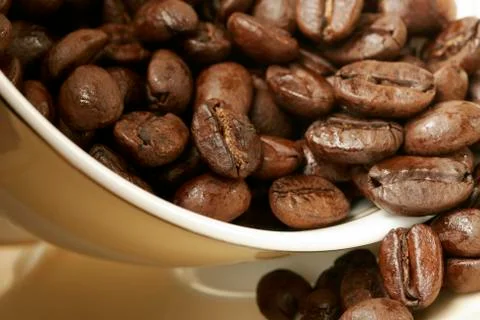 Coffee Stock Photos