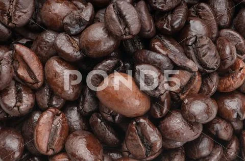 Coffee Stock Photos