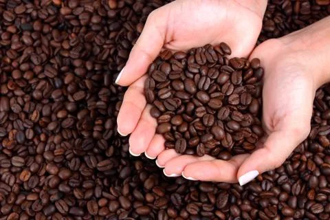 Coffee Stock Photos
