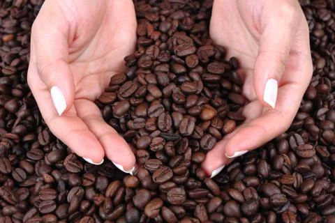 Coffee Stock Photos