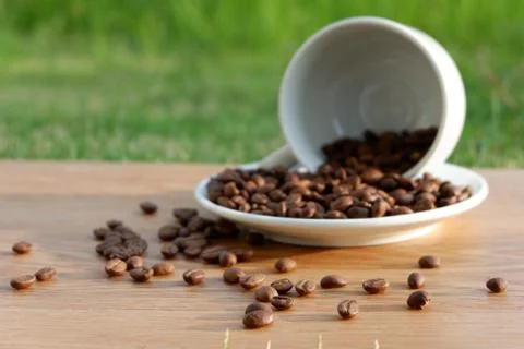 Coffee 스톡 사진