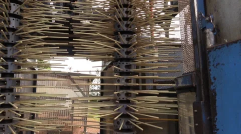 Coffee plantation Stock Footage 35288619