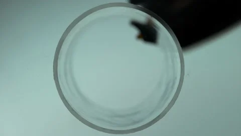 Coffee Pouring Slow Motion 4k Stock Footage 134584264