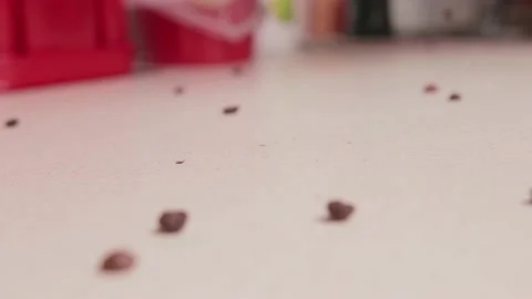 Coffee pours onto the table. roasted coffee beans Stock Footage 142228213