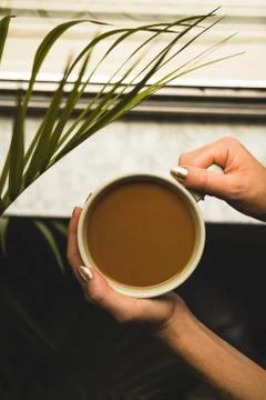 Coffee POV 2 Stock Photos