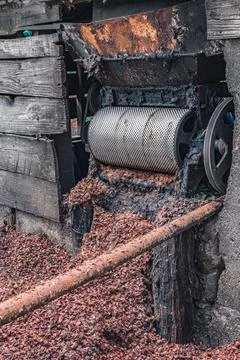 Coffee processing during preparation for sale beans Stock Photos
