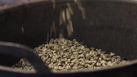 Coffee Processing 動画素材 314677323