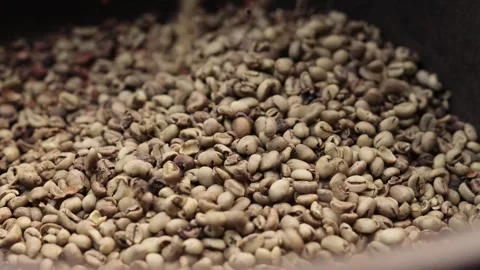 Coffee Processing Stock Footage 314700921