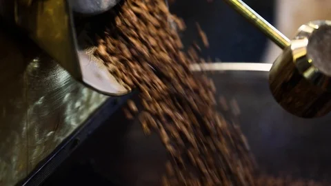 Coffee Processing. Roasted Beans In Cooling Machine Closeup Stock Footage 99759874
