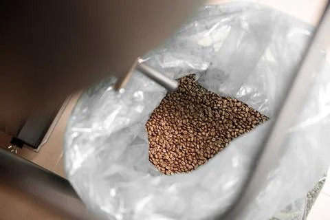 Coffee processing. Roastery, roasting machine and fresh beans Stock Photos