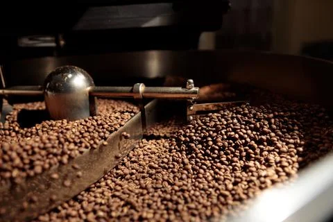 Coffee processing. Roastery, roasting machine and fresh beans Stock Photos