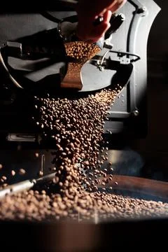 Coffee processing. Roastery, roasting machine and fresh beans Stock Photos