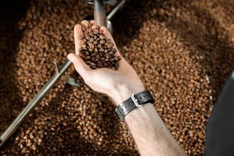 Coffee processing. Roastery, roasting machine and fresh beans Stock Photos