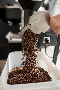 Coffee processing. Roastery, roasting machine and fresh beans Foto stock