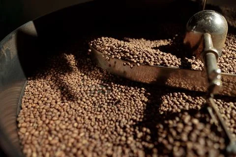 Coffee processing. Roastery, roasting machine and fresh beans Stock Photos