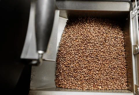 Coffee processing. Roastery, roasting machine and fresh beans Stock Photos