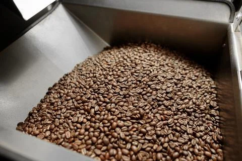 Coffee processing. Roastery, roasting machine and fresh beans Stock Photos