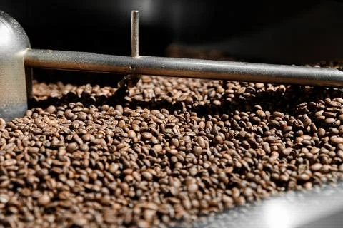 Coffee processing. Roastery, roasting machine and fresh beans Stock Photos