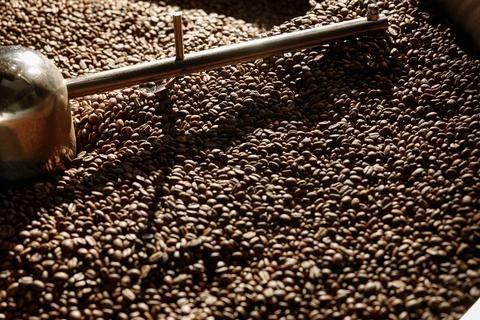 Coffee processing. Roastery, roasting machine and fresh beans Foto stock