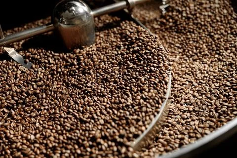 Coffee processing. Roastery, roasting machine and fresh beans Stock Photos