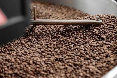 Coffee processing. Roastery, roasting machine and fresh beans Foto stock