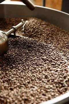 Coffee processing. Roastery, roasting machine and fresh beans Stock Photos