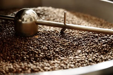 Coffee processing. Roastery, roasting machine and fresh beans Stock Photos