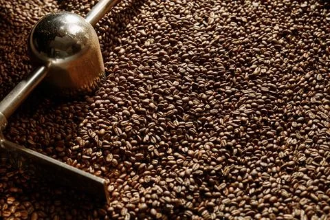 Coffee processing. Roastery, roasting machine and fresh beans Stock Photos