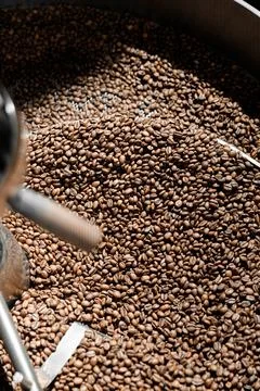 Coffee processing. Roastery, roasting machine and fresh beans Stock Photos