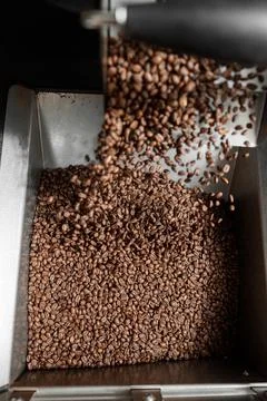 Coffee processing. Roastery, roasting machine and fresh beans Stock Photos