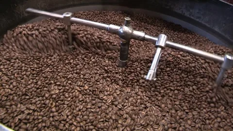 Coffee processing at the roasting stage, italy Video stock 243269380