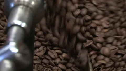 Coffee processing at the roasting stage, italy Video stock 243269382