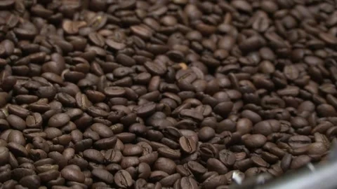 Coffee processing at the roasting stage, italy Video stock 243269383