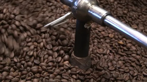 Coffee processing at the roasting stage, italy Video stock 243269393