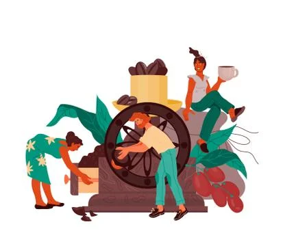 Coffee producing and processing of coffee beans, flat vector isolated. Stock Illustration