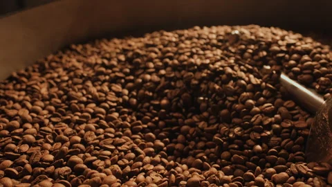 Coffee production. Close-up fresh roasted coffee beans mixing around on a Stock Footage 272339259